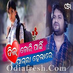 Sundari Rupasi Dil Tori Pain Pagala Helare - Human Sagar